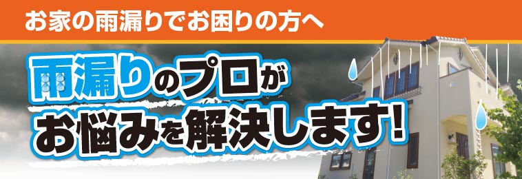 雨漏り診断｜雨漏りのプロがお悩み解決!!